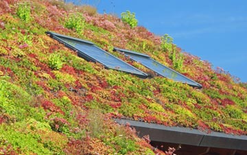 Laxfield living roof systems