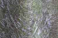 Laxfield fibreglass roof work